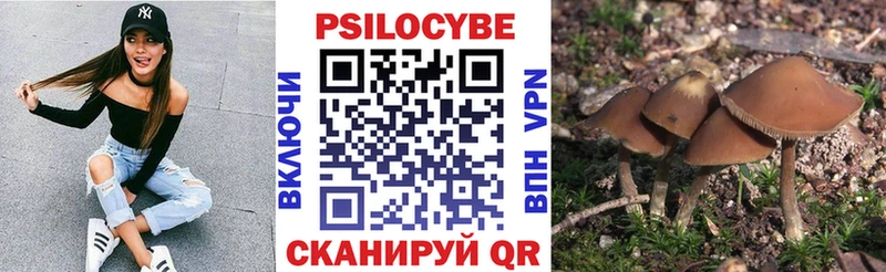 Псилоцибиновые грибы MAGIC MUSHROOMS  Крымск 